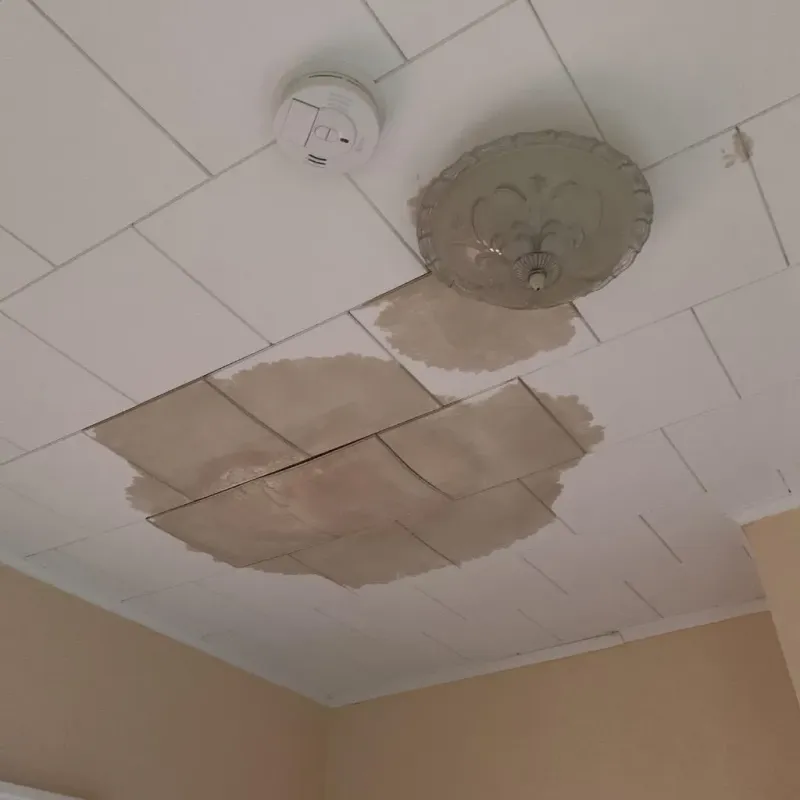 Ceiling Water Damage Repair in Motley County, TX