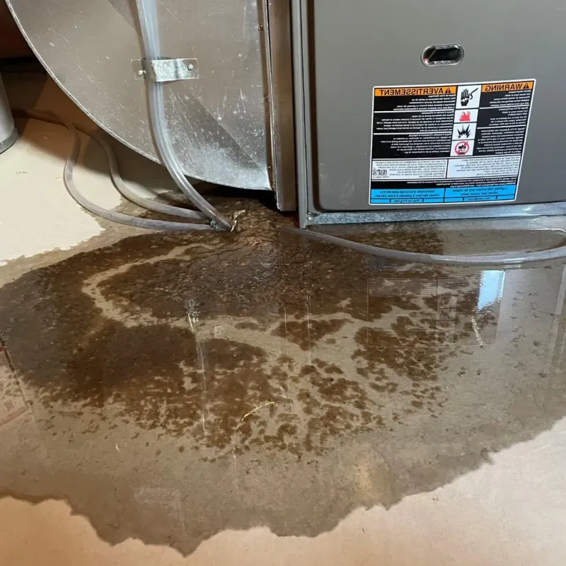 Pipe Burst and Leak Restoration in Motley County, TX