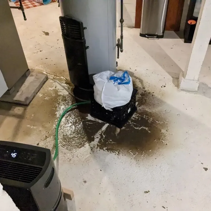 Sewage Backup Cleanup Service in Motley County, TX
